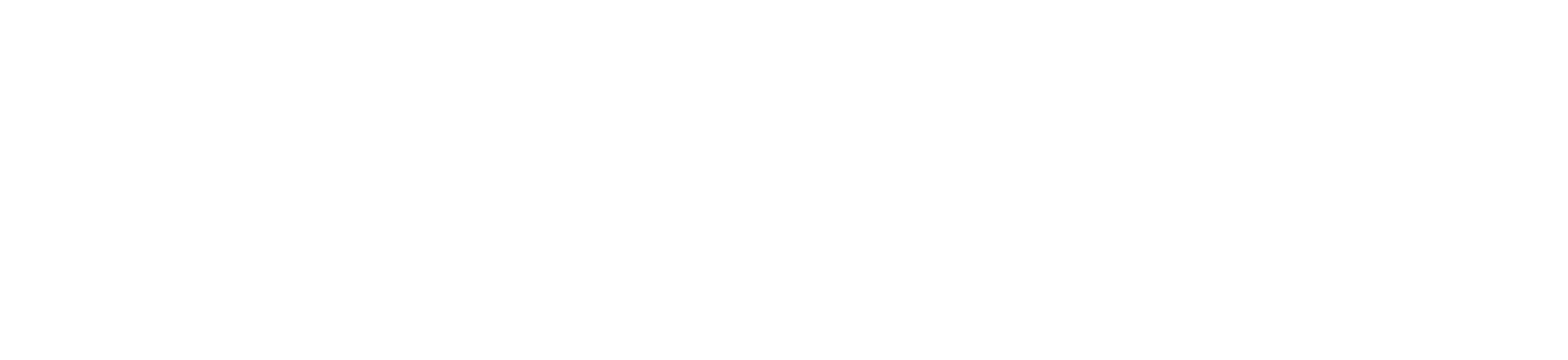 Seekermint Logo